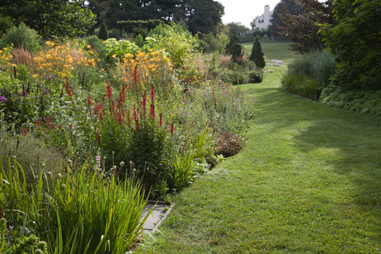 The Pond Garden borders