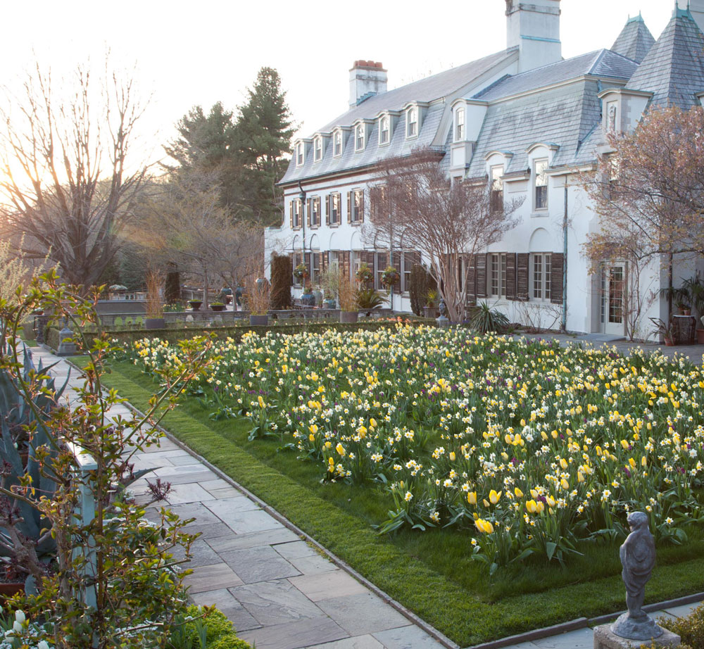 1993_Chanticleer-Wildflower-Lawn.-LR