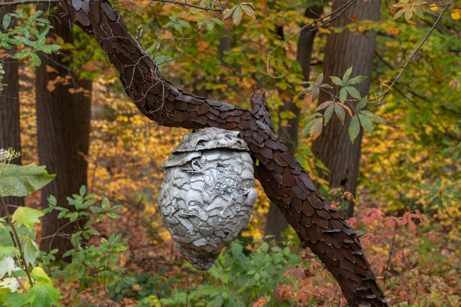 Bell's Woodland Ooption 2