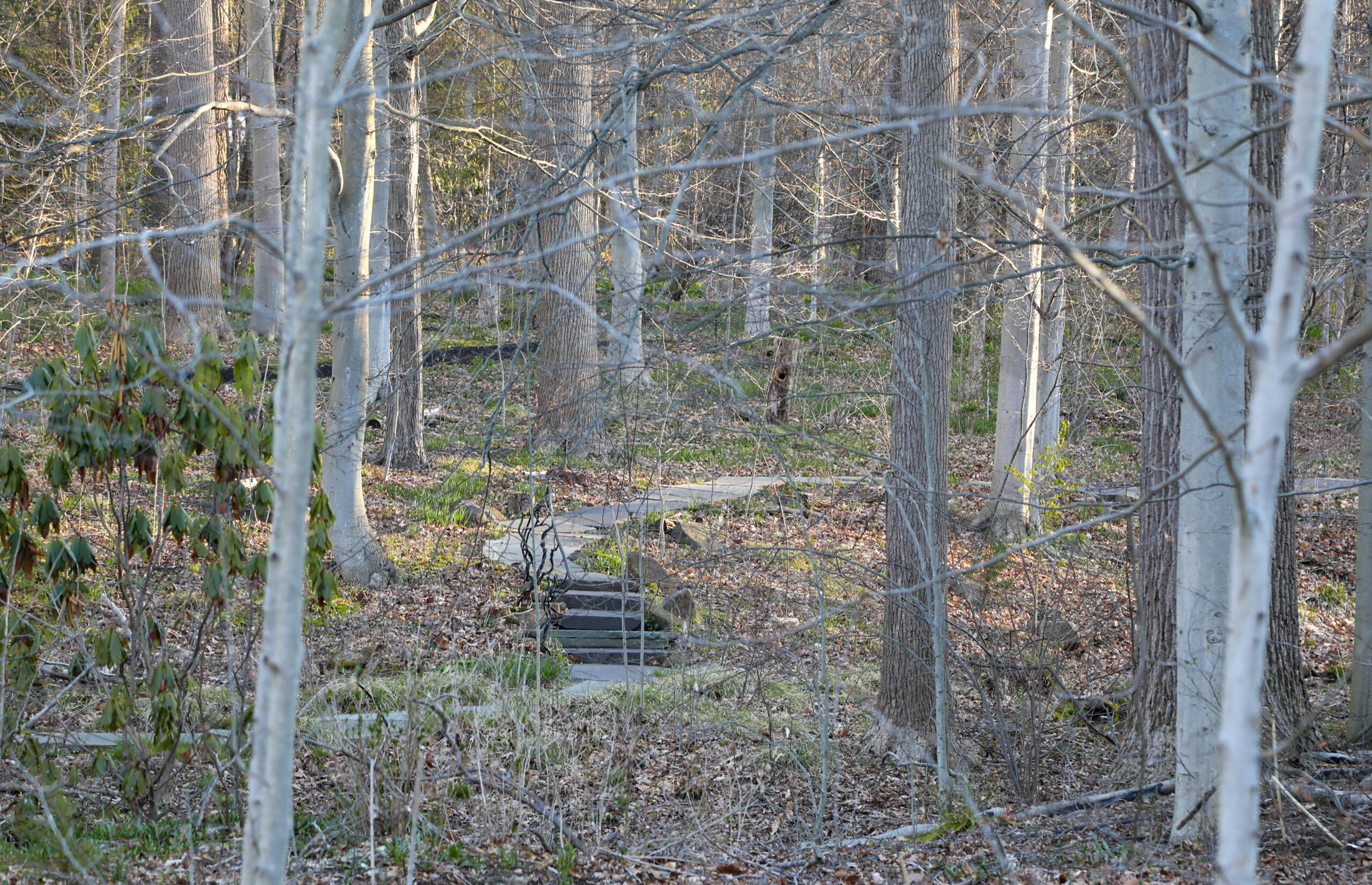 April 10, 2026 – 4