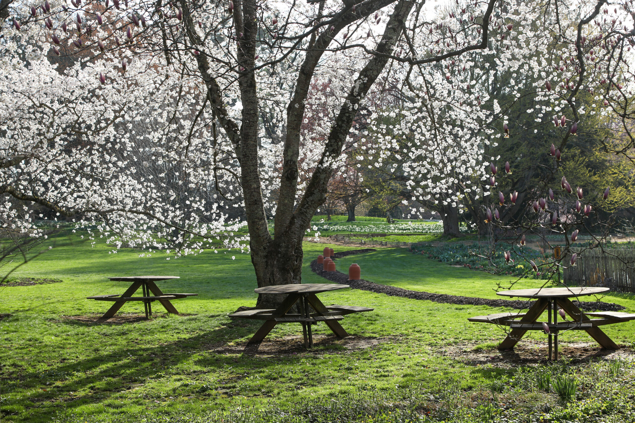 April 10, 2026 – 5