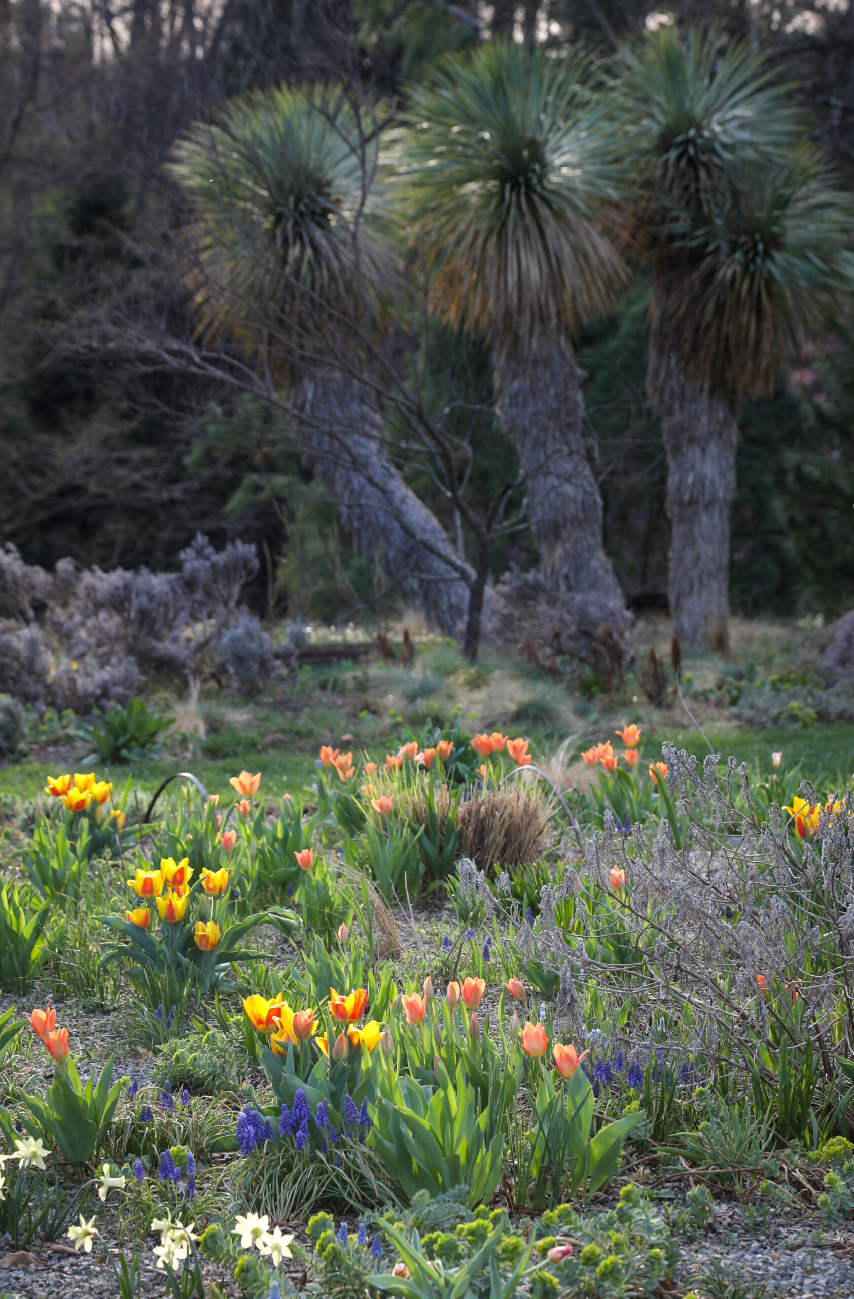 April 10, 2026 – 8