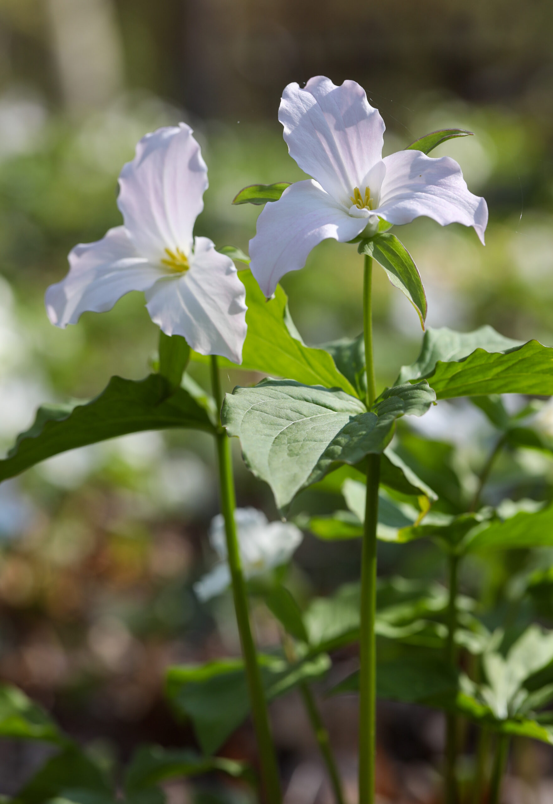 April 17, 2026 – 8