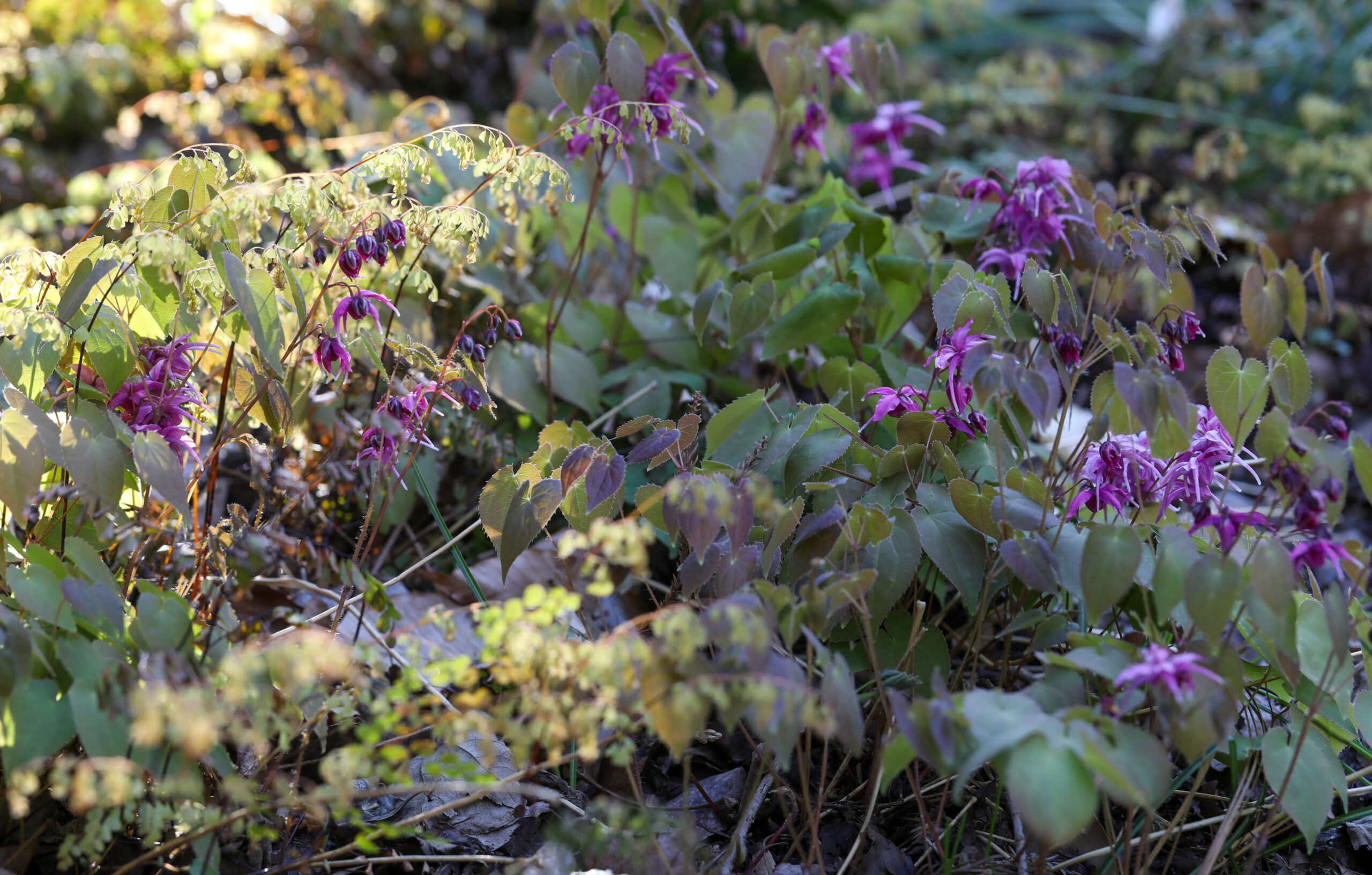 April 10, 2026 – 6