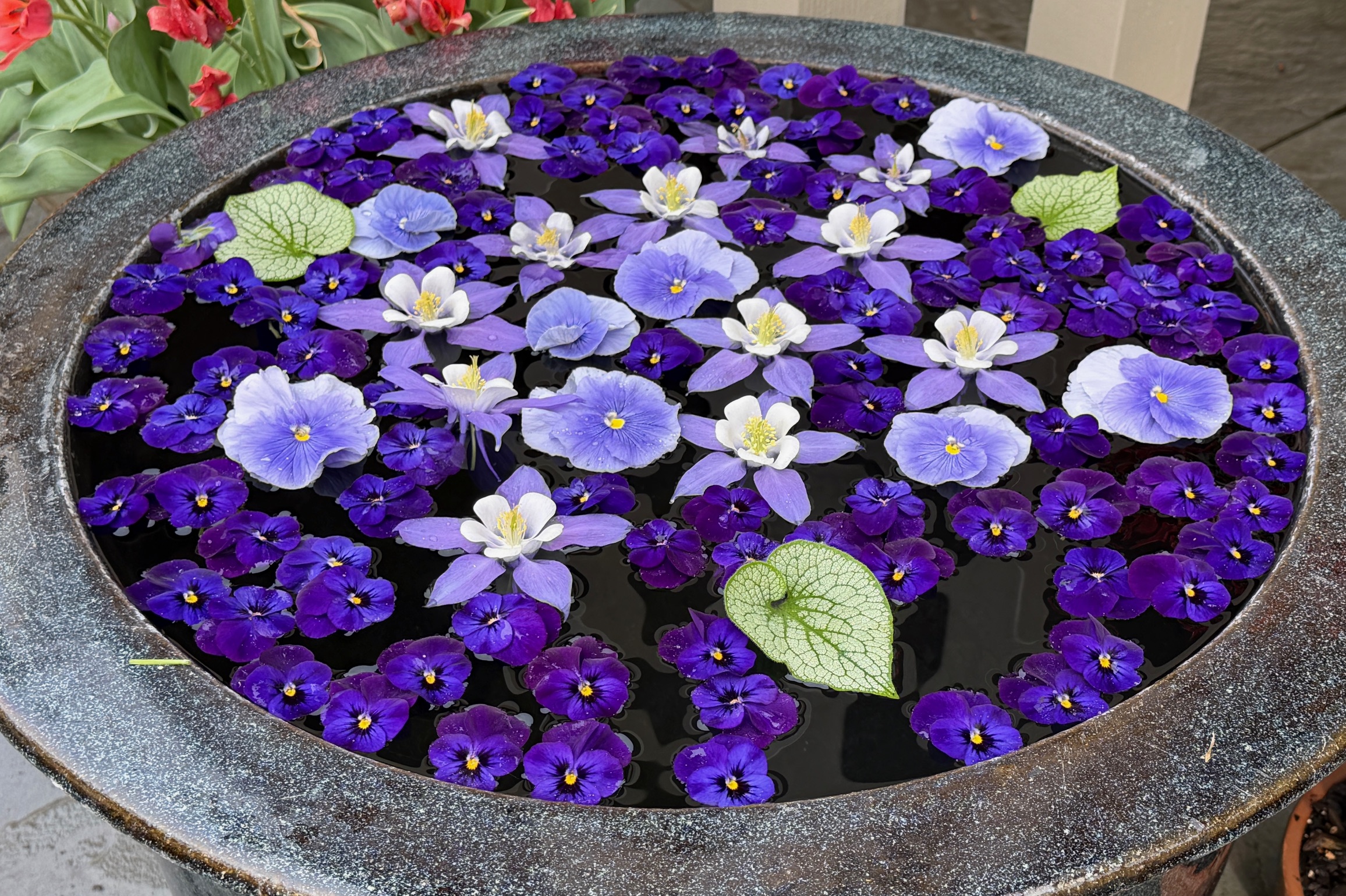 April 17, 2026 – 11