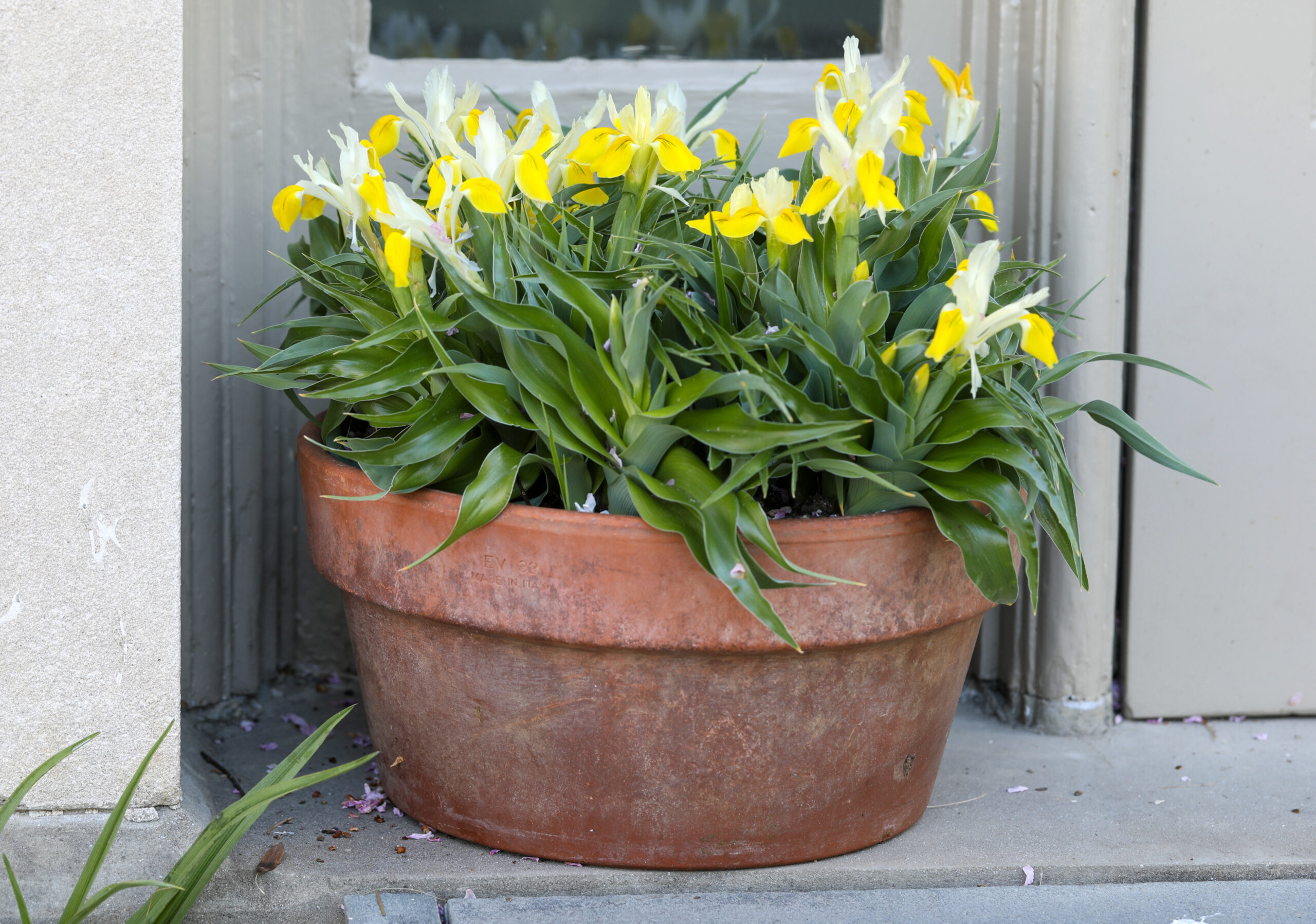 April 10, 2026 – 3