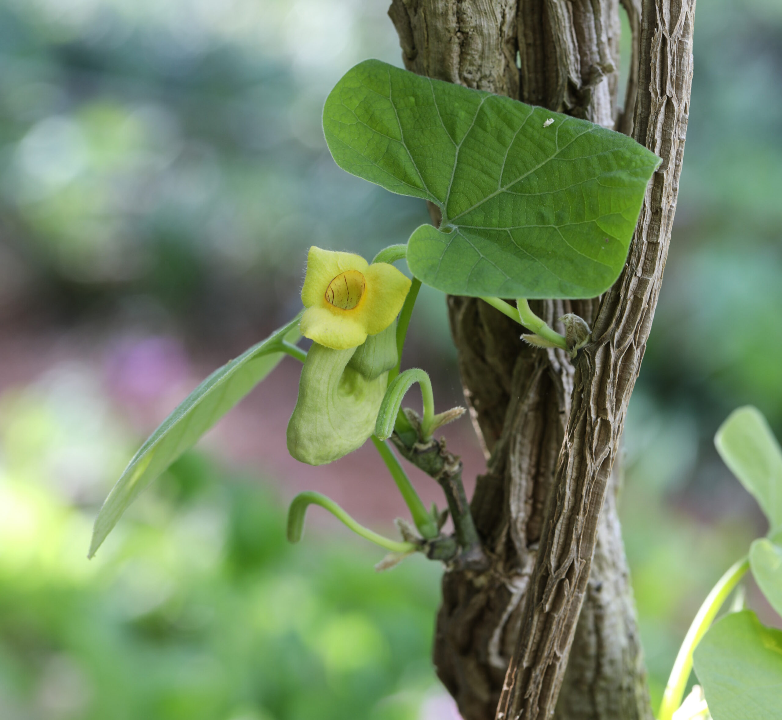 April 24, 2026 – 3