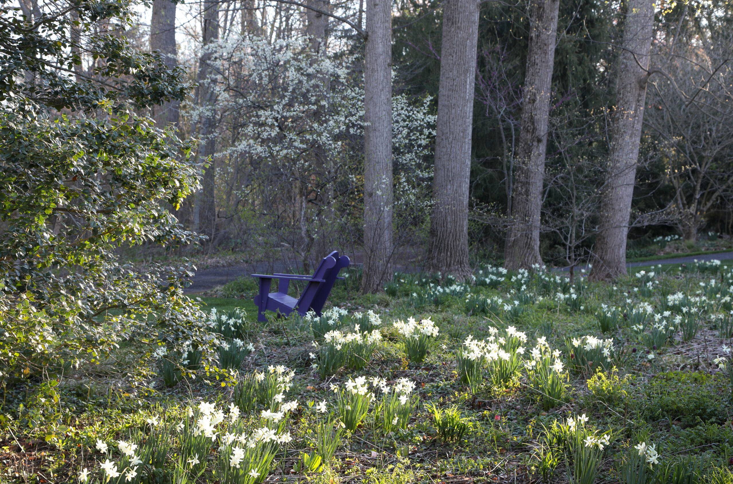 April 10, 2026 – 9