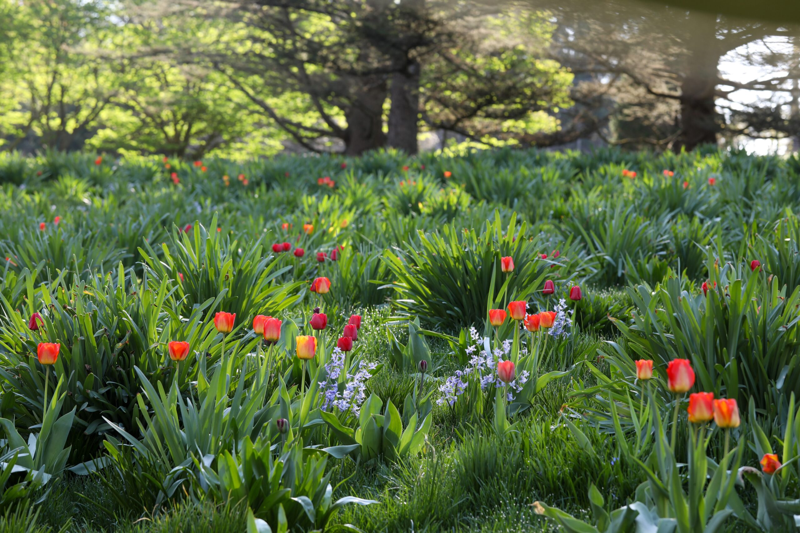 April 17, 2026 – 2