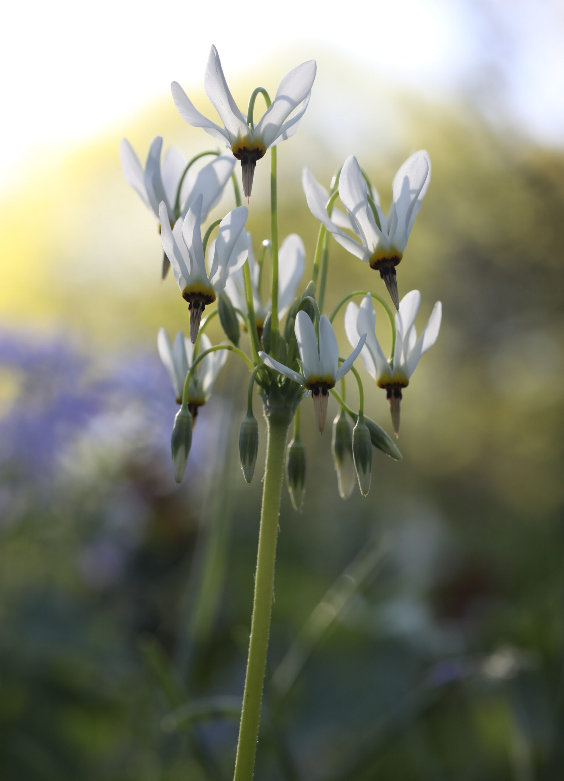 April 24, 2026 – 7