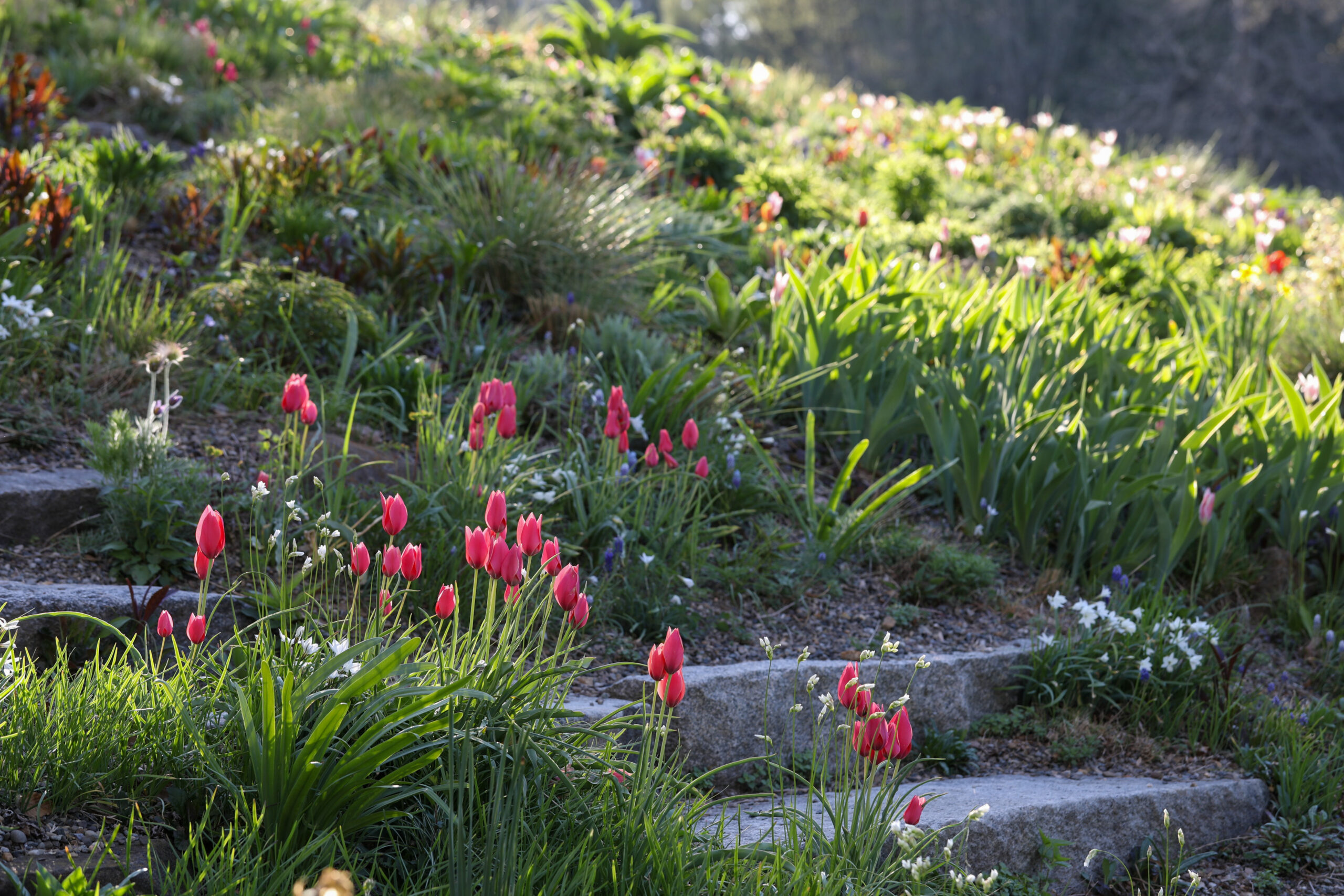 April 17, 2026 – 9