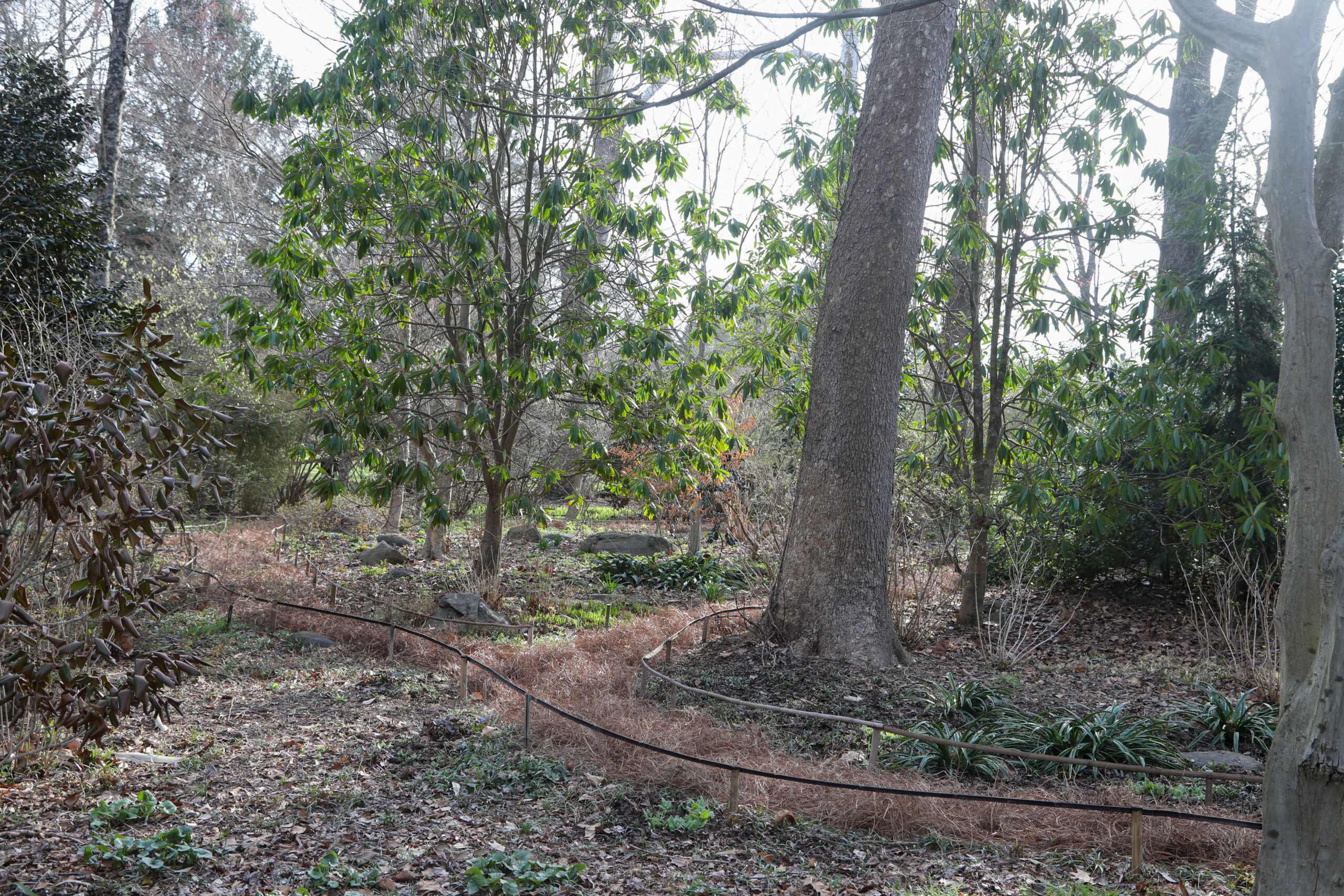 April 3, 2026 – 12