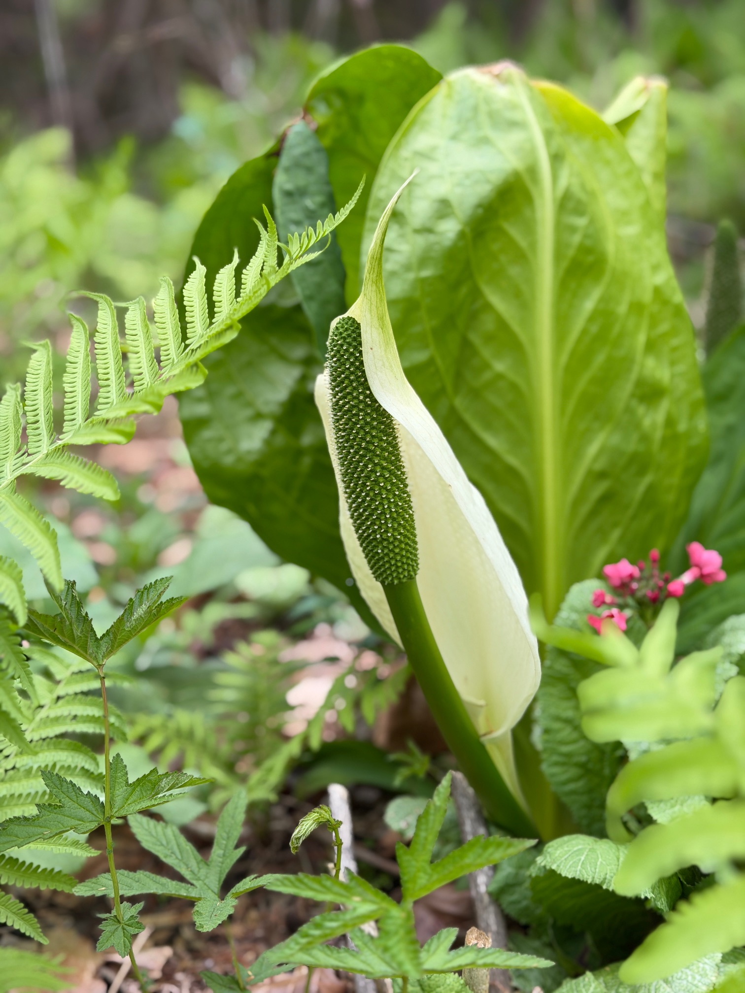 April 24, 2026 – 8