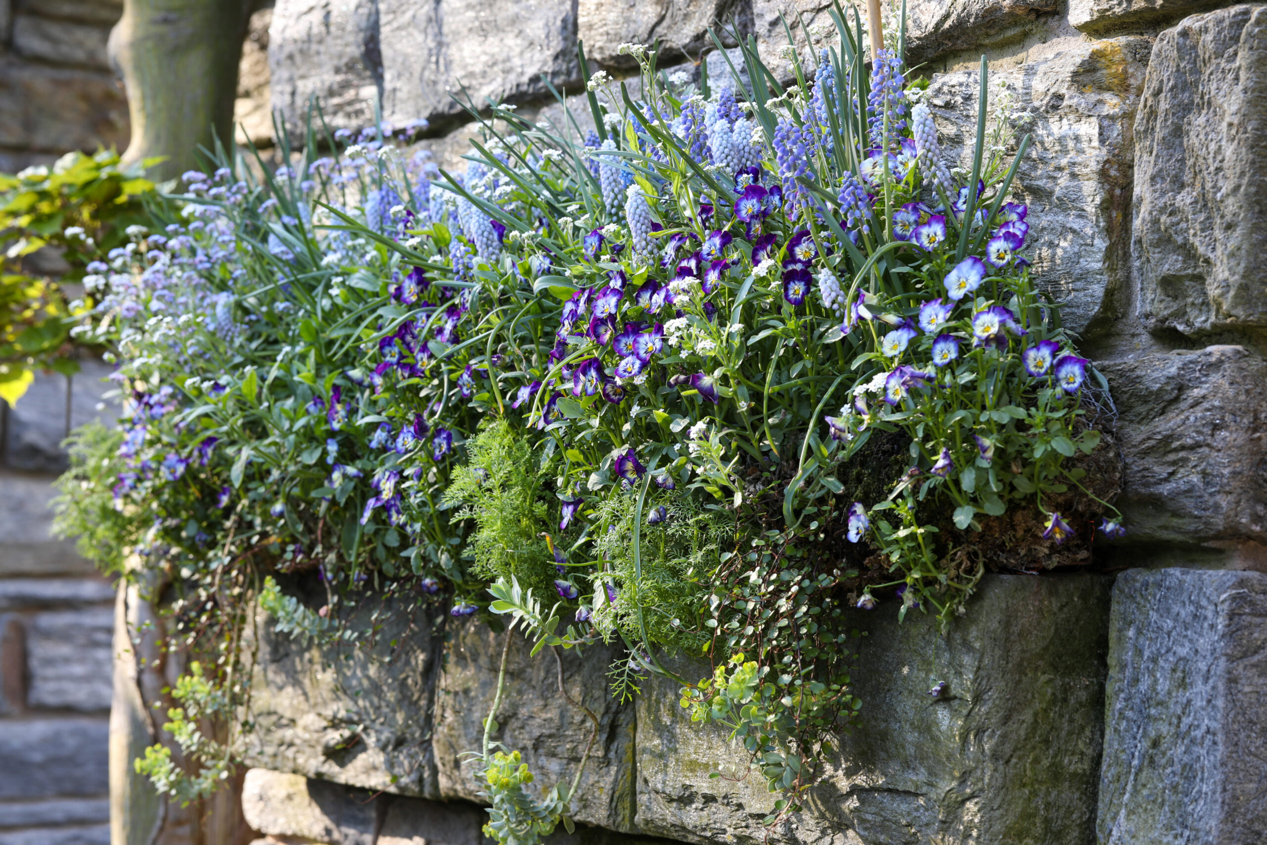 April 17, 2026 – 3