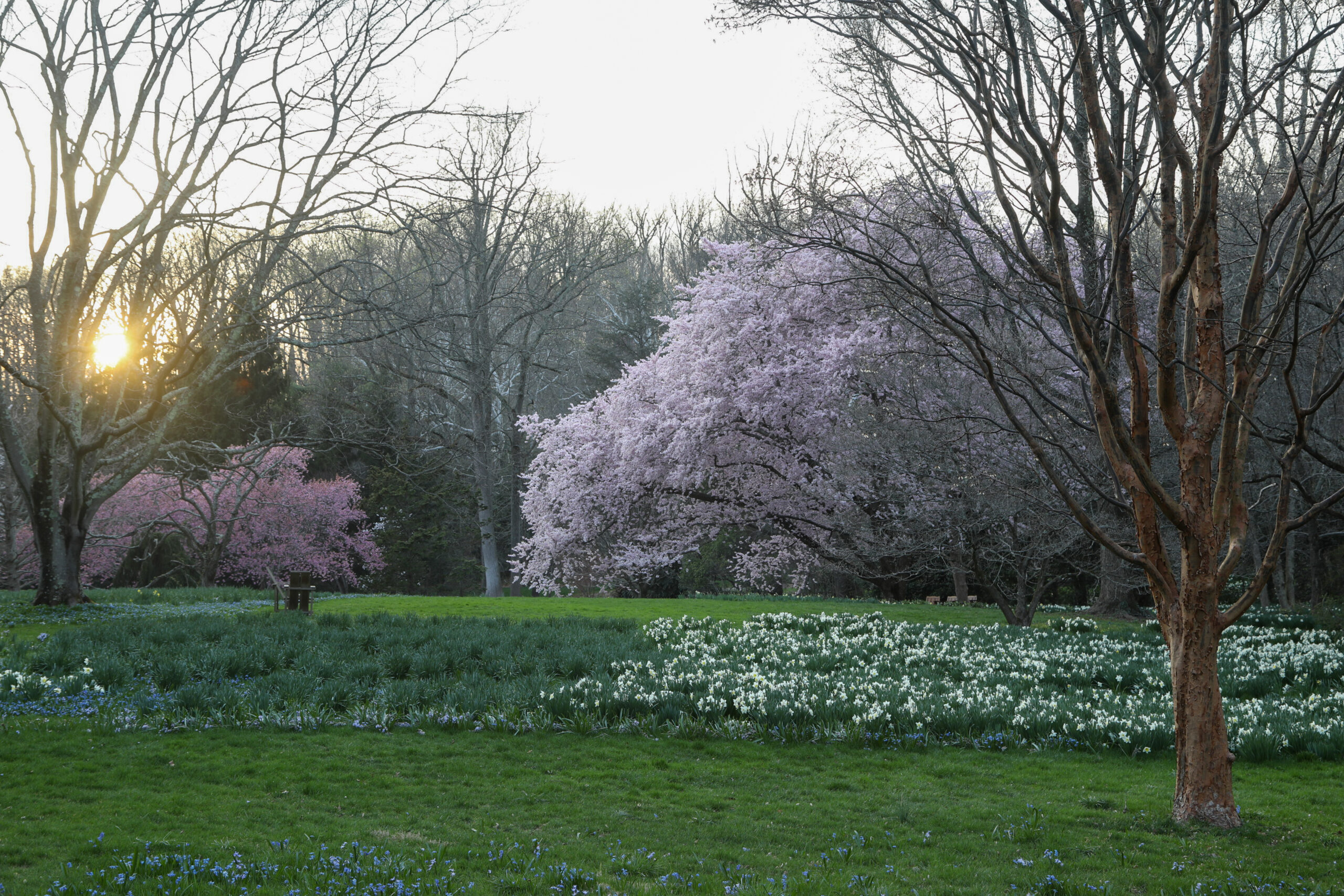 April 10, 2026 – 1