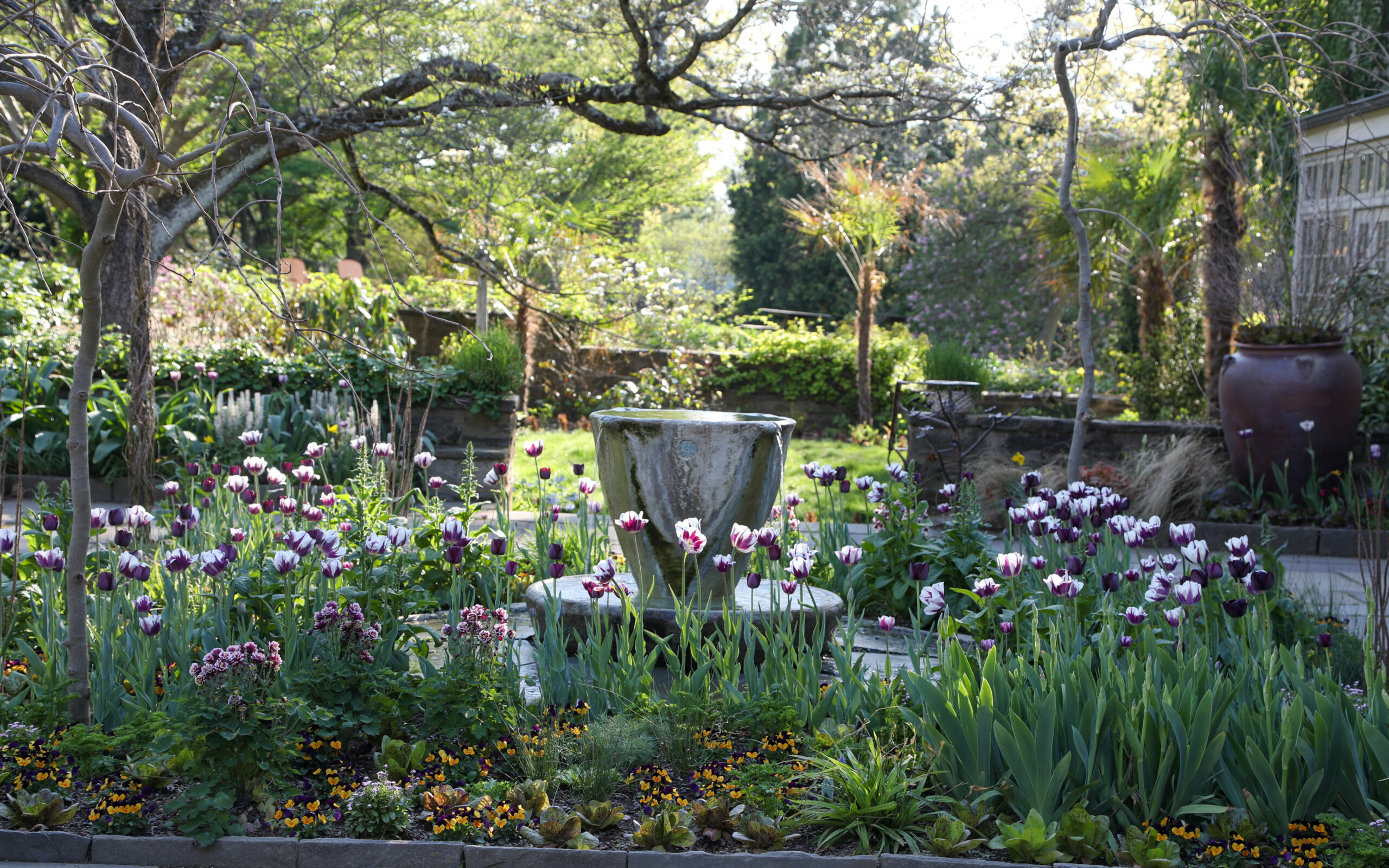 April 24, 2026 – 6