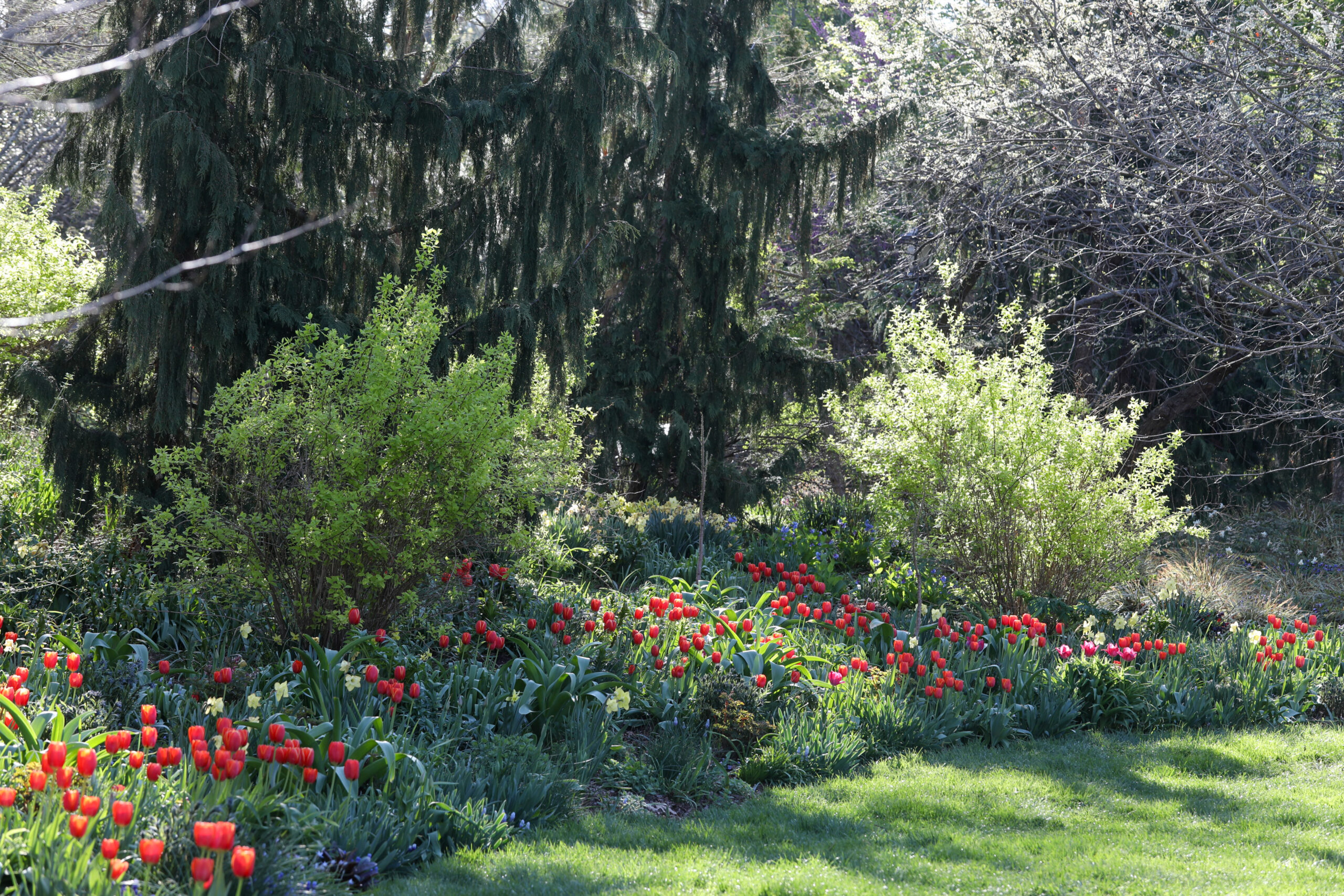 April 17, 2026 – 5