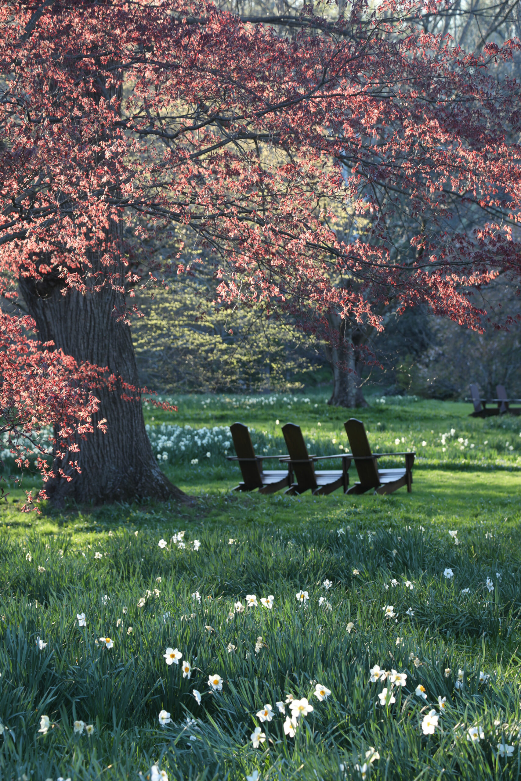 April 17, 2026 – 10