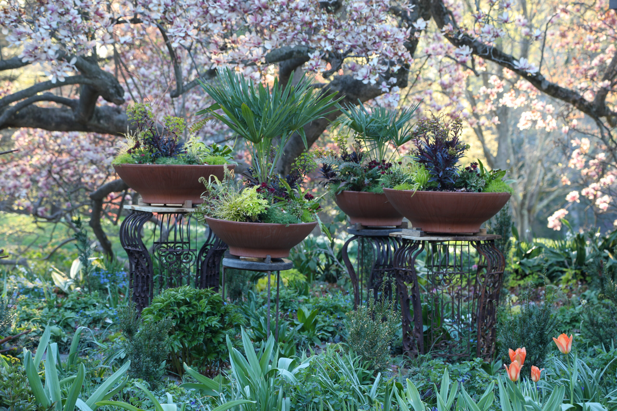 April 17, 2026 – 7